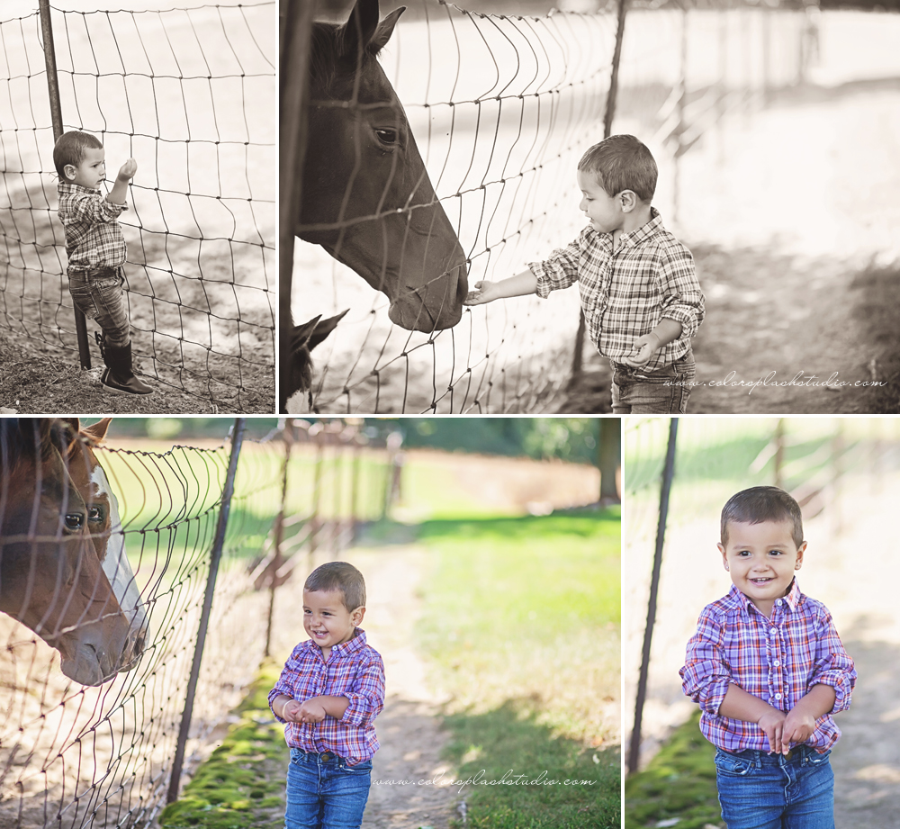 kid-horses-photography-session