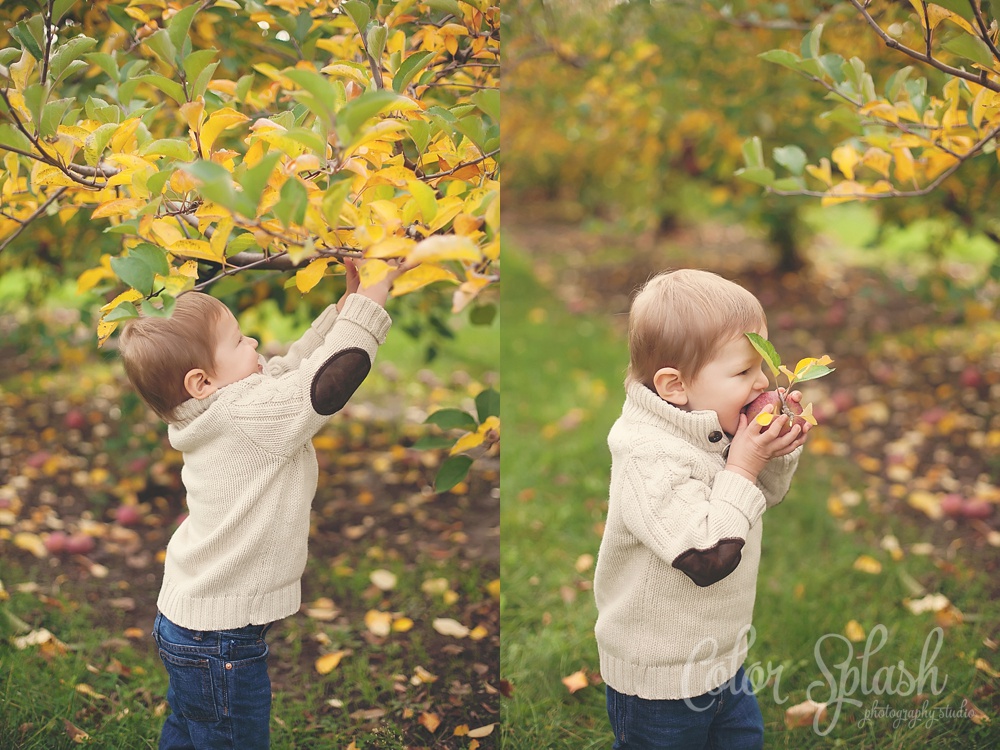 Color Splash Studio | Kalamazoo Family Photographer