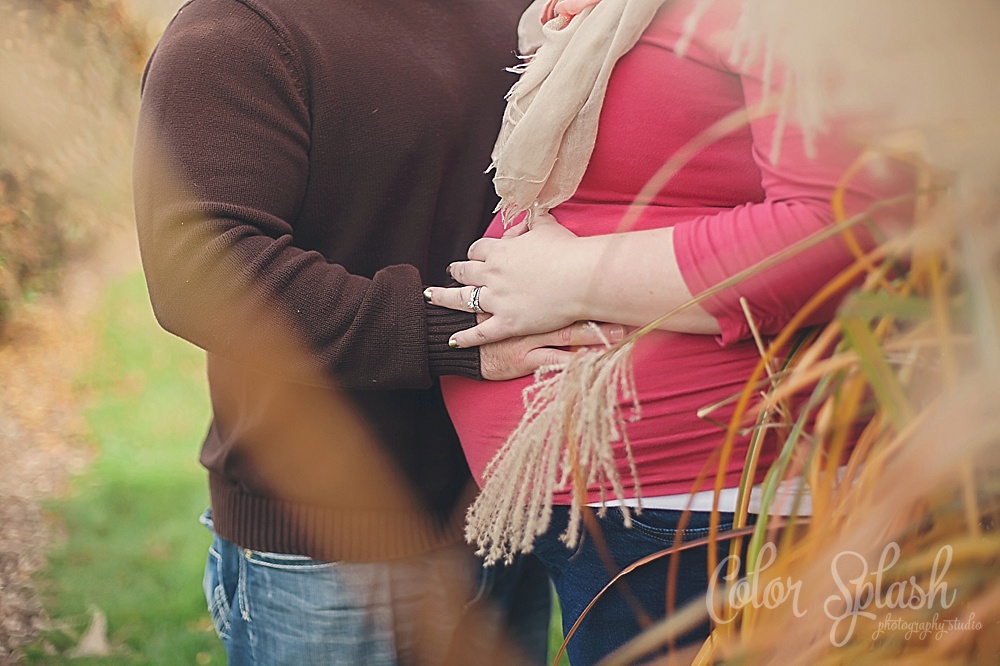 Color Splash Studio | Maternity Pregnancy Photos Kalamazoo 