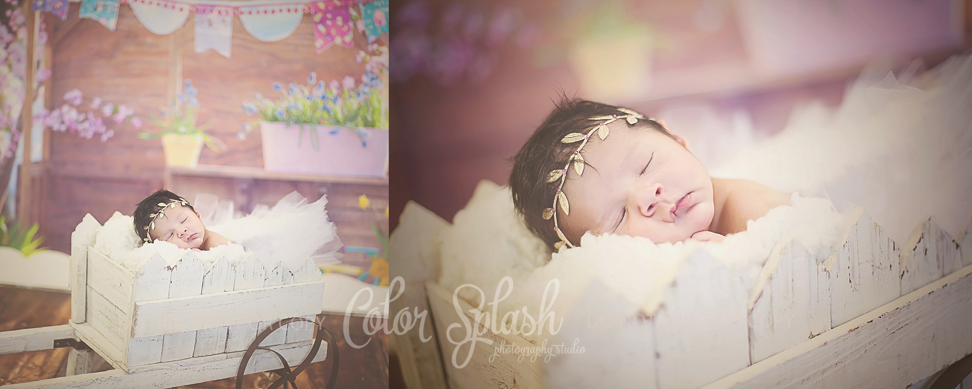 allegan-mi-newborn-photographer_0568