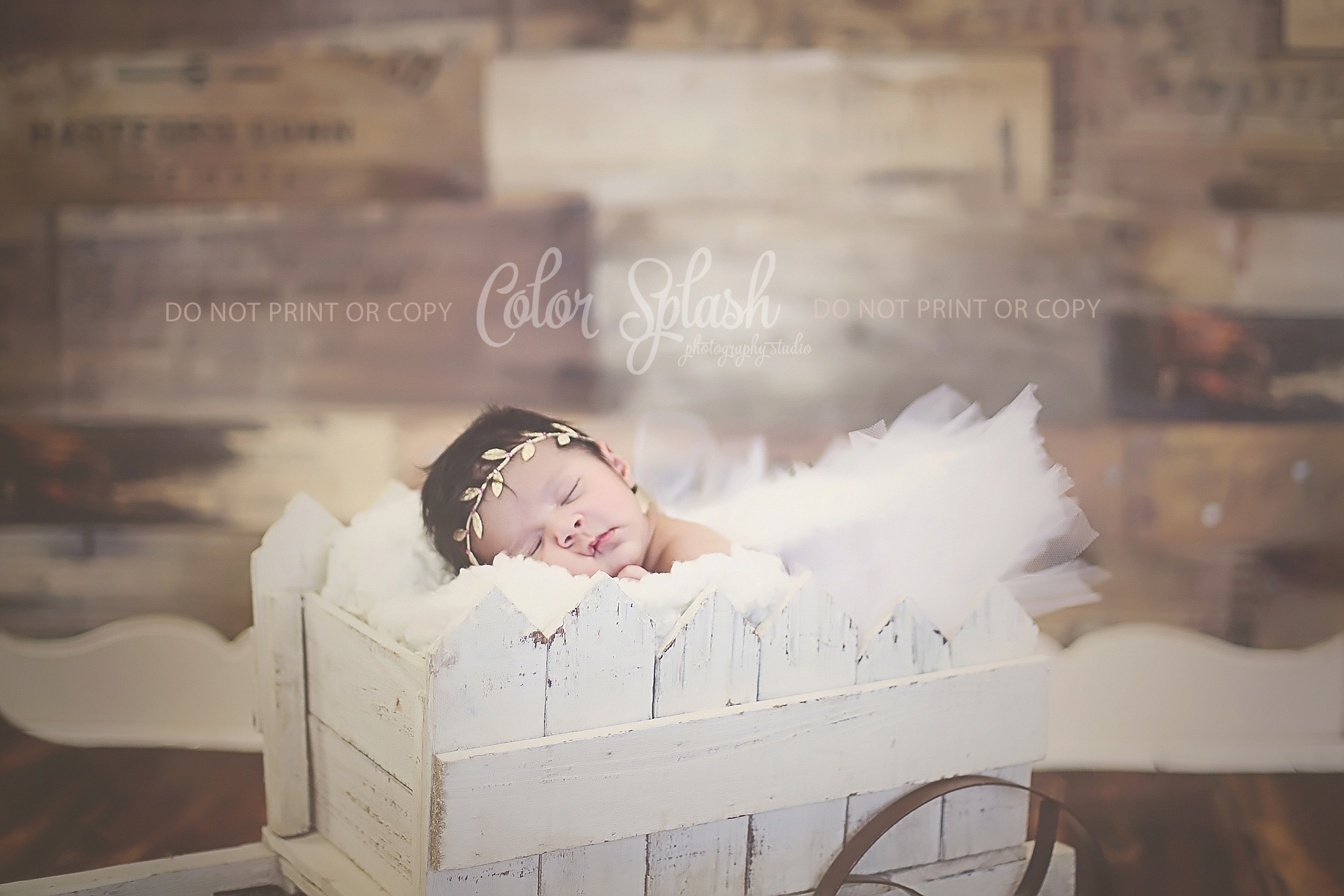 allegan-mi-newborn-photographer_0569