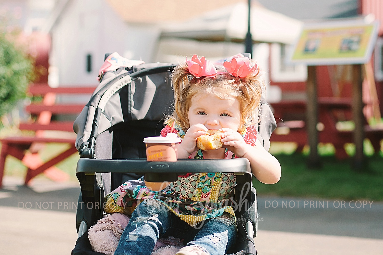 allegan-county-fair_1030